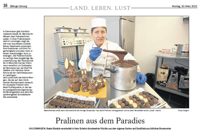 Pressebericht, Teckbote, 2014