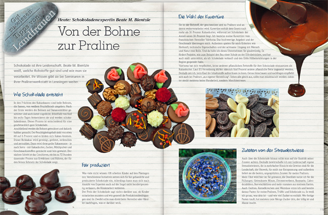 Pressebericht, Alblust Magazin, 2016
