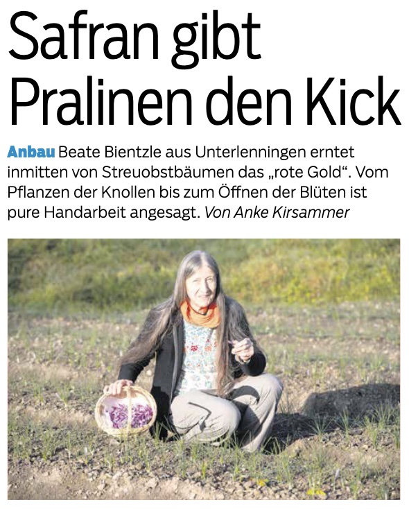 Pressebericht, Teckbote, 2021